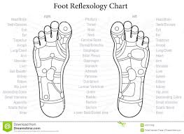 Foot Reflexology Chart Outline Stock Vector Illustration