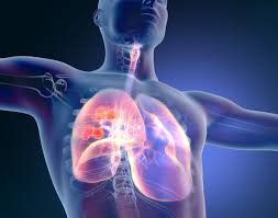 Lung cancer is treated in several ways, depending on the type of lung cancer and how far it has spread. Fda Grants Priority Review To Atezolizumab For The Treatment Of Non Small Cell Lung Cancer