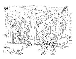 Doce Floresta Amazonica Para Colorir Imprimir E Desenhar Colorir Me