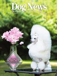 It adds heart canisters which can be worn in bauble slots and amulet which can hold all canisters. Dog News September 5 2014 By Dog News Issuu