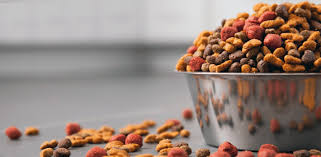 We've done all the work for you with our in depth guide. Best Inexpensive Dog Food Budget Picks Daily Dog Stuff