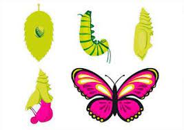 Recursos Y Actividades Para Educacion Infantil Ciclo De La Vida De Una Mariposa Ciclo De Vida De La Mariposa Ciclos De Vida Actividades Para Preescolar