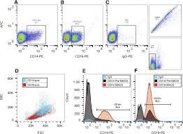 This diagram shows how ebola virus replicates, or makes copies of itself. Asymptomatic Infection Of Marburg Virus Reservoir Bats Is Explained By A Strategy Of Immunoprotective Disease Tolerance Sciencedirect