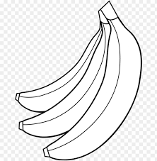 Plantain fruit isolated on white background. Fruit Clipart Banana Bunch Banana Black And White Png Image With Transparent Background Toppng