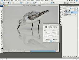 Along the top bar of photoshop, you'll see the image menu. How To Create A Life Like Mirror Image In Photoshop The Graphic Mac