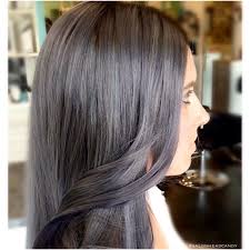 Tinagrey2 Charcoal Hair Hair Color Dark Purple Grey Hair