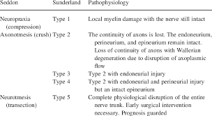 Understanding nerve injury classification is essential for prognostic value clinically. Classification Of Peripheral Nerve Injuries Download Table