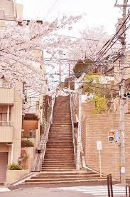 韓国人 日本が嫌いだろうが好きだろうが これだけは言えること カイカイ反応通信 夏 背景 風景 日本