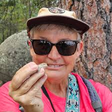 A close view of a regal horned lizard near Tucson, AZ.