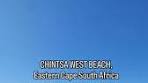 Do you know about this beach in South Africa?! 🇿🇦 it's ...