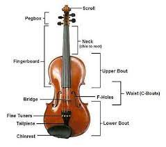 All violin strings look the same on the outside but all are different in shape, size, and dimension. Violin Wikipedia