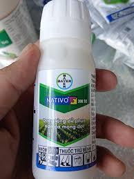 Nativo 300SC