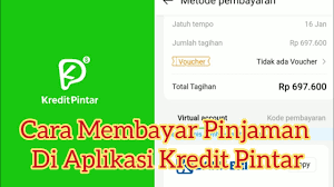 Untuk mendapatkan nomor kartu kredit, tidak terlalu dibutuhkan kemampuan khusus untuk memperolehnya. Cara Melunasi Pinjaman Di Aplikasi Kredit Pintar Sebelum Jatuh Tempo Mengguanakan Briva Youtube