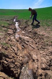 Topsoil Erosion