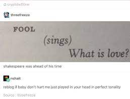 I Thought Of Fool Like From Can T Help Falling In Love With You And Then Having That Fool That Rushes In Sing What Is L Tumblr Funny Funny Memes Funny Quotes