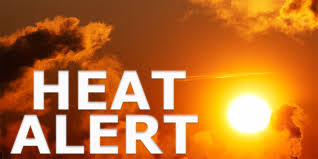 Residents Urged to Take Precautions in Extreme Heat | News | San Diego  County News Center