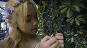 Princess Dress Stock Footage & Videos