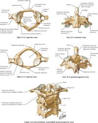 As nouns the difference between atlas and axis. Unstable Cervical Spine Fractures Nuem Blog
