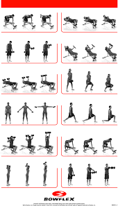 The Best Exercises With Dumbbells The Dumbbells Have Been