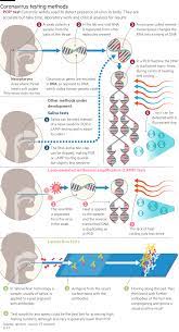 The swab is rotated several times in both before being withdrawn and it is then sealed in a tube to be sent to a lab for analysis. Uk Spends 1bn On Boris Johnson S Rapid Coronavirus Testing Moonshot Financial Times