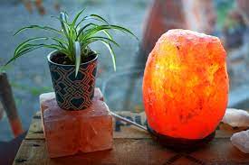 Vomiting, fainting, seizures are some of the pets like cats and dogs have strong sense organs and they do avoid things could harm them. Dangers Of Salt Lamps For Cats