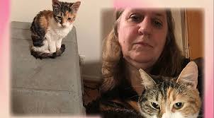 The Universe Gives Me a Cat ⋆ Weird Sisters Publishing