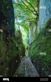 Borgia palace hi-res stock photography and images - Alamy