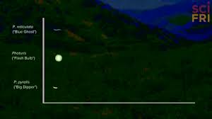 The simplest reason your light bulb is flickering is because it was screwed too loosely into the socket. Flashing Bulb Gifs Get The Best Gif On Giphy