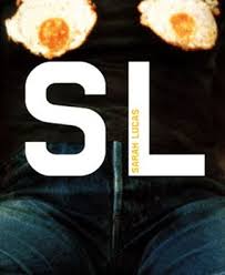 Sarah Lucas By Matthew Collings Art Contemporain Contemporain Livre