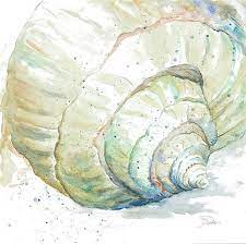 More images for watercolor conch shell painting » Sea Shell Watercolor Paintings Fine Art America