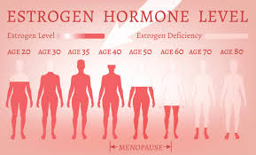 Sex Hormone Levels Alter Heart Disease Risk In Older Women
