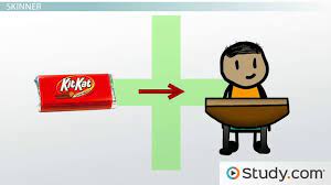 Skinner believed that students must be active in the classroom and that effective instruction is based on. B F Skinner Theories Impact On Education Video Lesson Transcript Study Com