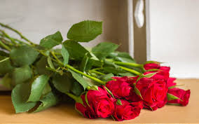 405 bouquet hd wallpapers and background images. Wallpaper Bouquet Of Red Rose Flowers 1920x1200 Hd Picture Image