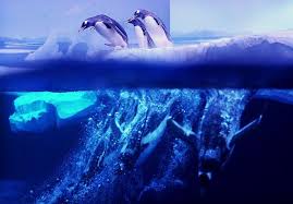 صور رائعة لأجمل مناظر طبيعية من حول العالم ل ب كره Amazing Animal Pictures Cool Photos Sea Life