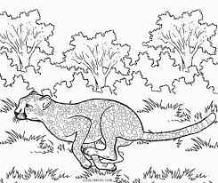 About the animals coloring pages do you have a little animal lover at home? Printable Cheetah Coloring Pages For Kids