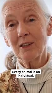 One post just wasn't enough... , 🌳🐶🐇🐀🐿️❤️🦊🐖🐄🫏🌴, A lifelong vegan  and environmentalist, she walked the walk and became a beacon for many of  us trying to follow her example. When people ask why I'm ...