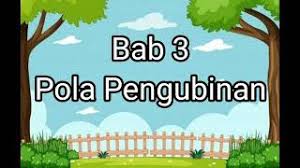 Home soal contoh soal kelas 4 sd bahasa indonesia semester 1. Pola Pengubinan Kelas 1 Sd Youtube