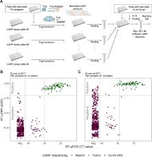 C) teknis pengaturan, jadwal dan hal lain kegiatan siskamling dikoordinasi oleh bidang/sie A Colorimetric Rt Lamp Assay And Lamp Sequencing For Detecting Sars Cov 2 Rna In Clinical Samples Science Translational Medicine