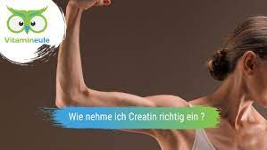 Creatin besteht aus den drei aminosäuren arginin, glycin und methionin. Wie Nehme Ich Creatin Richtig Ein