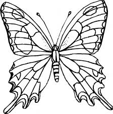 Butterfly of beautiful open wings. Butterfly Coloring Pages Kids Coloring Home