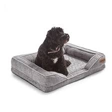 Maybe you would like to learn more about one of these? Orthopaedic Pet Bed Silentnight