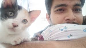 Hi all, I rescued a mother cat, 3months ago, now she has given birth to  kittens... unfortunately 3 kittens were killed by dogs and one is  surviving....hope someone will come forward to