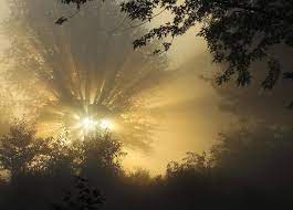 Foggy Morning Sunrise Bing Images Foggy Morning Morning Sunrise Sunrise