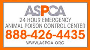 As pet owners ourselves, we're a team of vets in singapore that completely understand the light and joy that our companions bring into our lives. Community Partners In Woodland Hills Ca Vca Veterinary Specialists Of The Valley