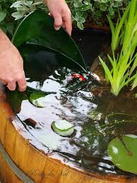 Un Mini Bassin Tonneau Dans Le Jardin Jardins Bassin De Jardin Jardin D Eau