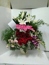 Check spelling or type a new query. Jual Camella Florist Bunga Meja Dan Vas Bunga Hidup Mawar Casablanca Baby Breath Di Lapak Camella Florist Bukalapak