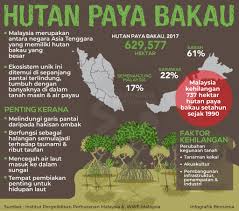 Hutan paya bakau menyumbang kepada ekonomi dengan sumber lautnya yang kaya serta kayu yang bermutu tinggi, menyelamatkan harta benda dan nyawa dengan menghalang proses hakisan pantai dan menapis bahan cemar dari laut dan. Bernama On Twitter Infografik Hutan Paya Bakau