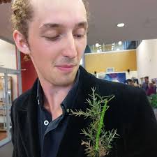 Identifying Dunedin's Small Wildlife — Wild Dunedin