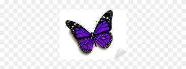 Purple butterfly butterfly purple monarch butterfly monarch purple monarch butterfly free monarch butterfly pictures monarch purple butterfly butterfly purple monarch butterfly monarch flower nature insect flowers flora bloom colorful green background garden beautiful blossom. Purple Monarch Butterfly Wings Free Transparent Png Clipart Images Download