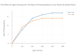 the effect of light intensity on the rate of photosynthesis